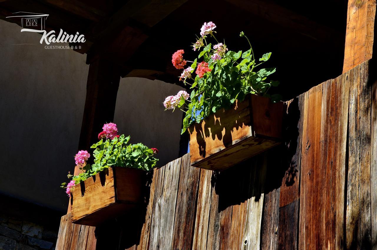 Kalinia Guesthouse B&B Kovaceviţa Exterior foto