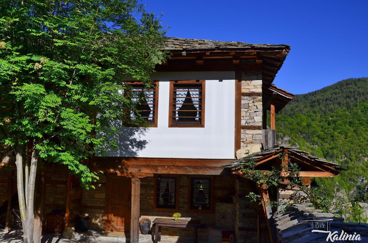 Kalinia Guesthouse B&B Kovaceviţa Exterior foto