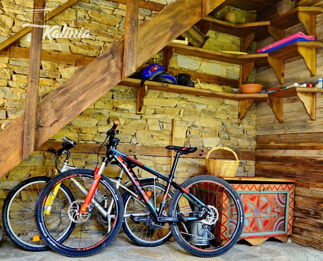 Kalinia Guesthouse B&B Kovaceviţa Exterior foto