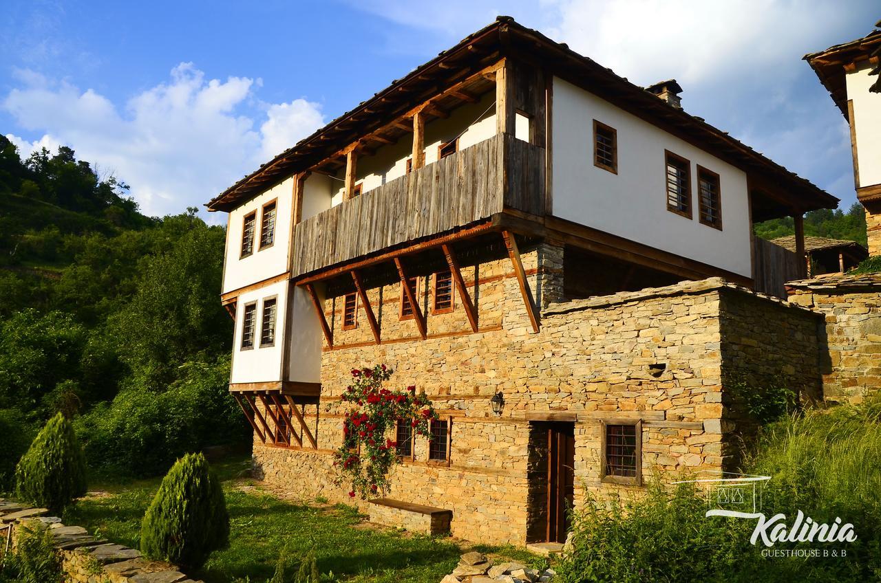 Kalinia Guesthouse B&B Kovaceviţa Exterior foto