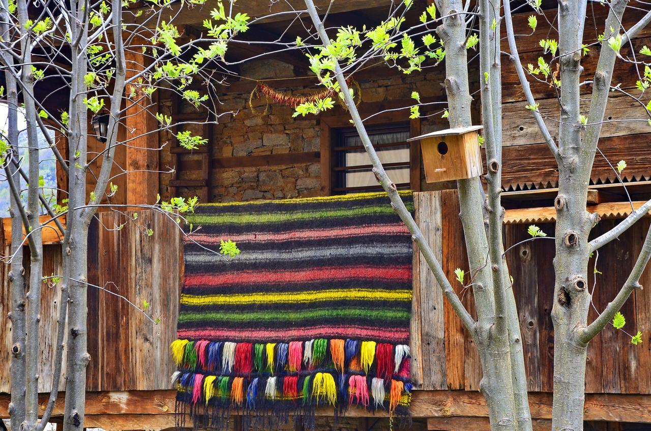 Kalinia Guesthouse B&B Kovaceviţa Exterior foto