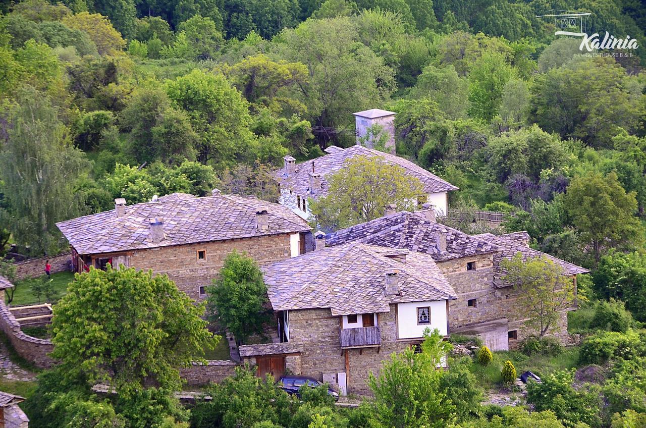 Kalinia Guesthouse B&B Kovaceviţa Exterior foto