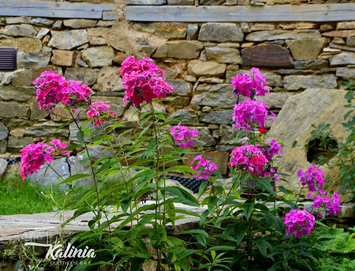 Kalinia Guesthouse B&B Kovaceviţa Exterior foto