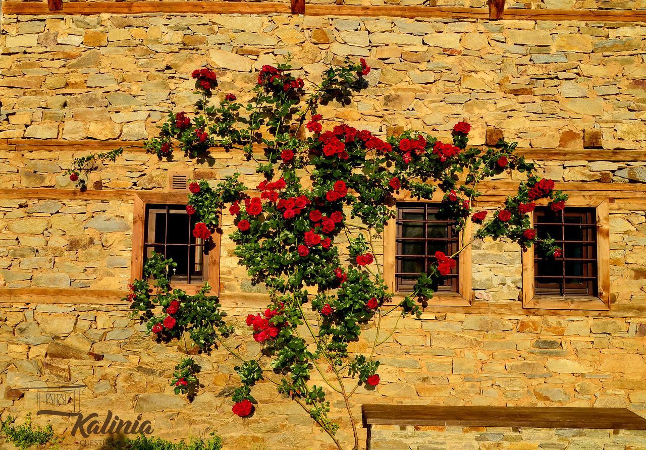 Kalinia Guesthouse B&B Kovaceviţa Exterior foto