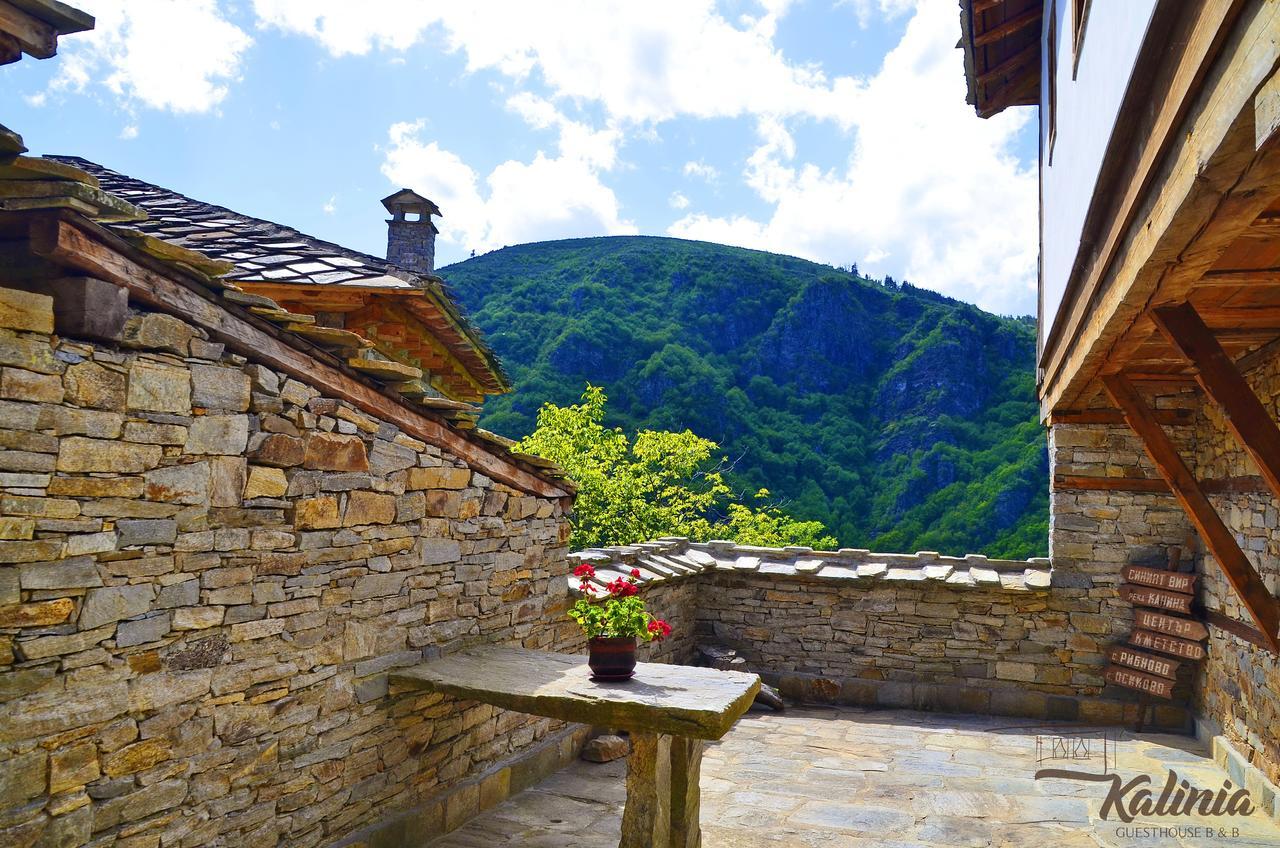 Kalinia Guesthouse B&B Kovaceviţa Exterior foto