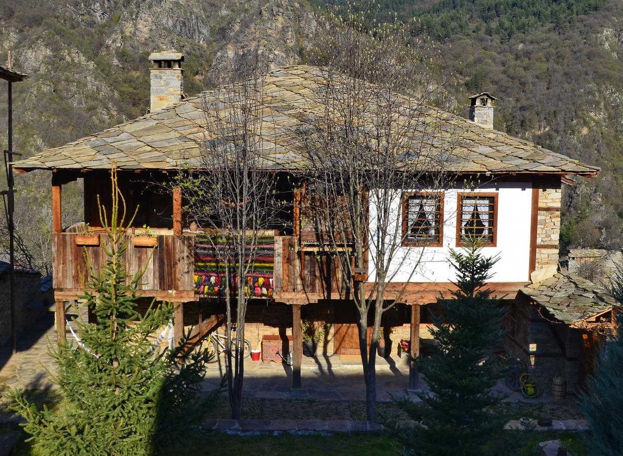 Kalinia Guesthouse B&B Kovaceviţa Exterior foto