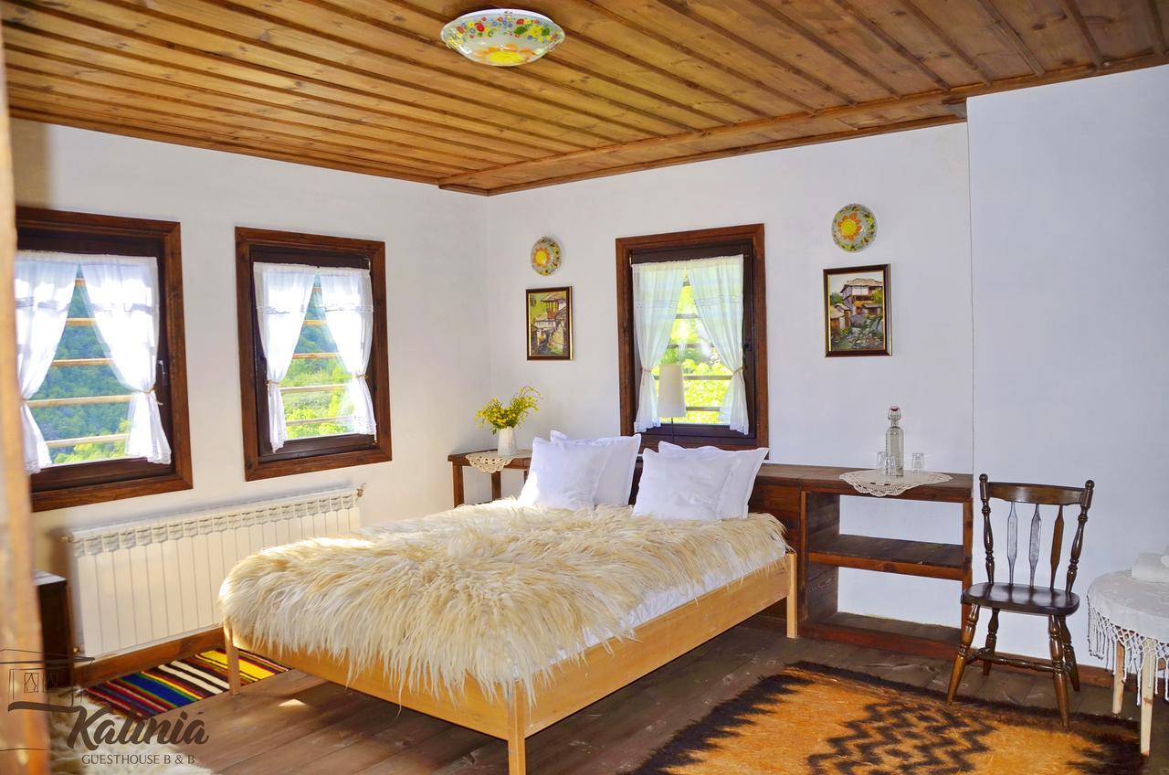 Kalinia Guesthouse B&B Kovaceviţa Exterior foto