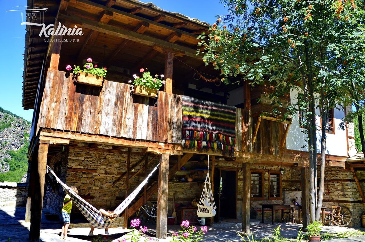 Kalinia Guesthouse B&B Kovaceviţa Exterior foto