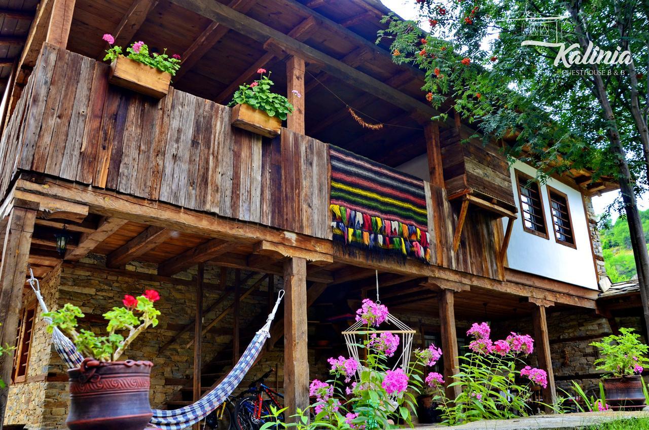 Kalinia Guesthouse B&B Kovaceviţa Exterior foto